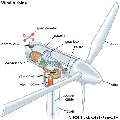 plants power i Power Plant Works? Wind  Complete Explanation How