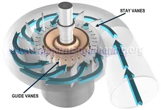 Stay and guide vanes of francis turbine