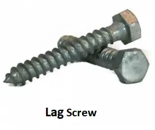 Lag Screw