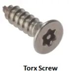 Torx Screw